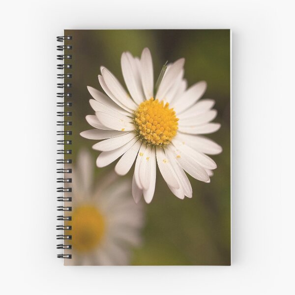 Item preview, Daisy designed and sold by Phil-Edwards.
