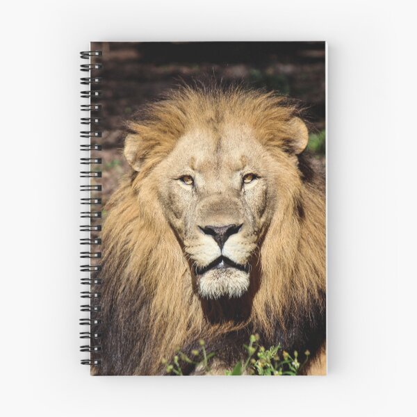 Item preview, King designed and sold by Bob Hardy.