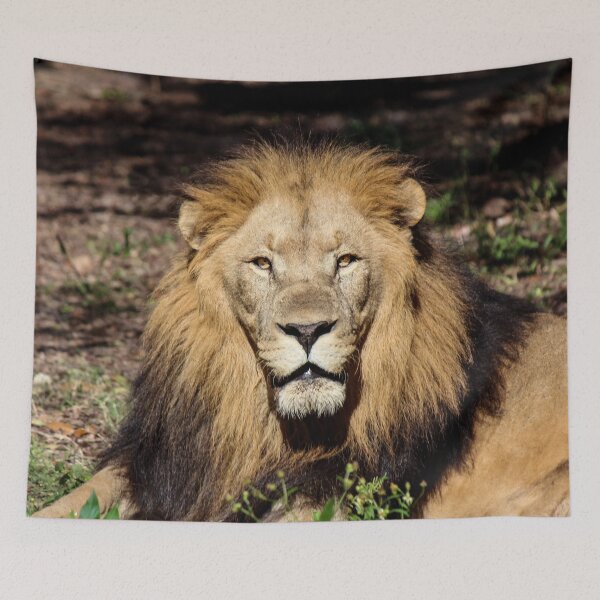 Item preview, King designed and sold by Bob Hardy.