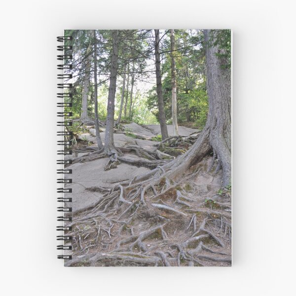 Item preview, Who needs dirt? designed and sold by Jill Szczesny.