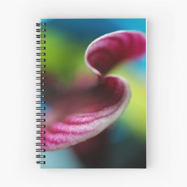 Item preview, Curves designed and sold by Tammy Hale.