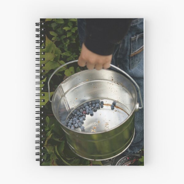 Item preview, Bucket of Blueberries designed and sold by by Marvil LaCroix.
