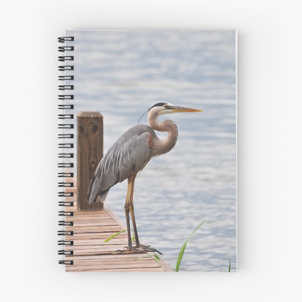 Item preview, STANDING ON THE DOCK OF BAY designed and sold by FSULADY.