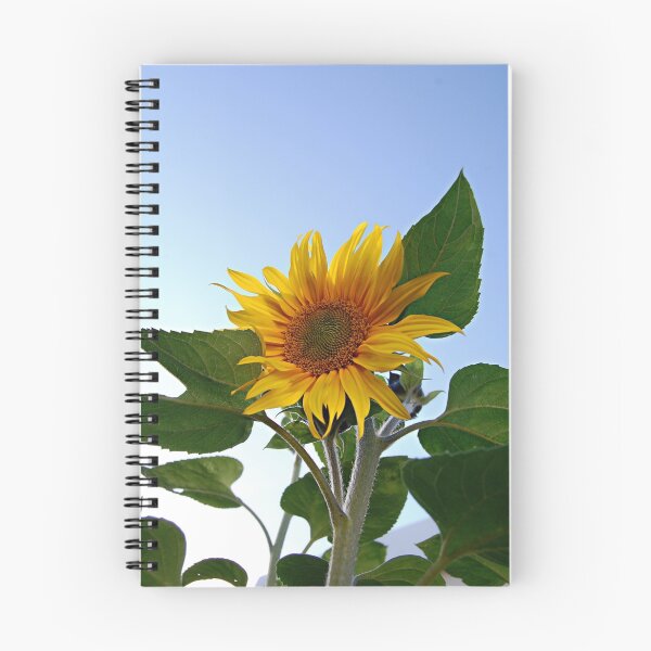 Item preview, Looking up!.....(Sunflower) designed and sold by Declan Carr.