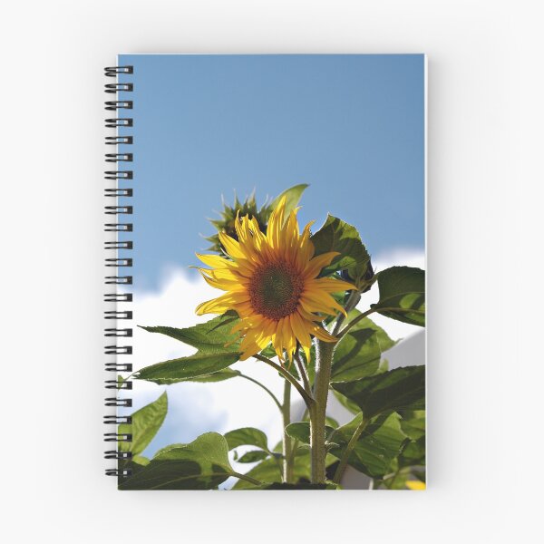 Item preview, Sunflower designed and sold by Declan Carr.