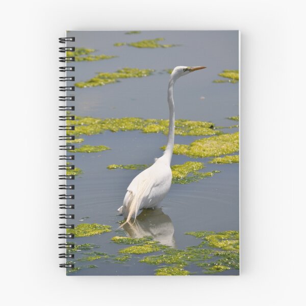 Artikelvorschau, The Great Egret  entworfen und verkauft von Saija  Lehtonen.