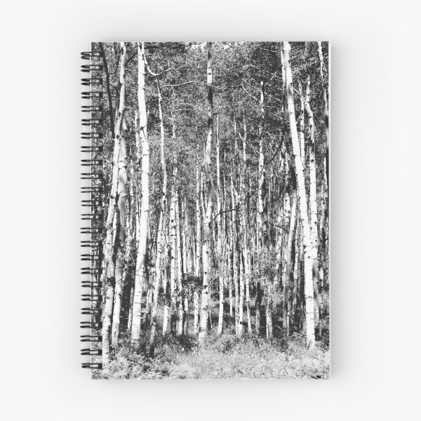 Item preview, Kebler Pass Trees designed and sold by ashley-dawn.