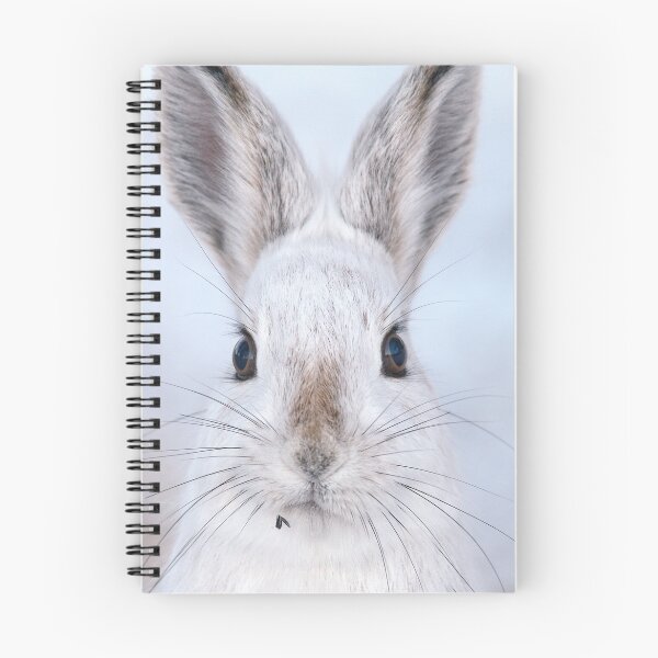 Item preview, A Mad Hare Day / Snowshoe Hare designed and sold by Gary Fairhead.