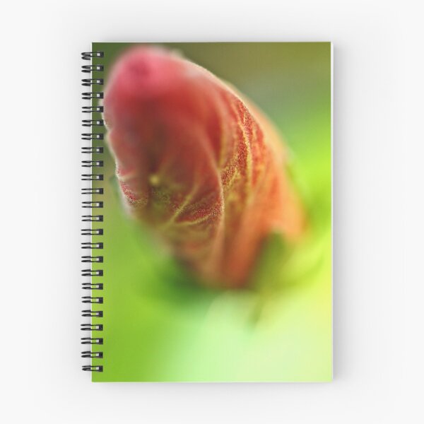 Item preview, Soft Tone designed and sold by pixel-cafe .de.
