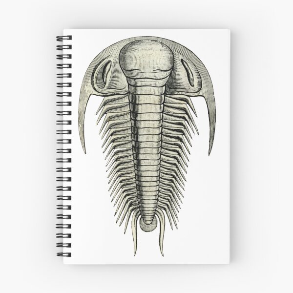 Item preview, A Trilobite A Day Keeps The Fossils Away designed and sold by taspaul.