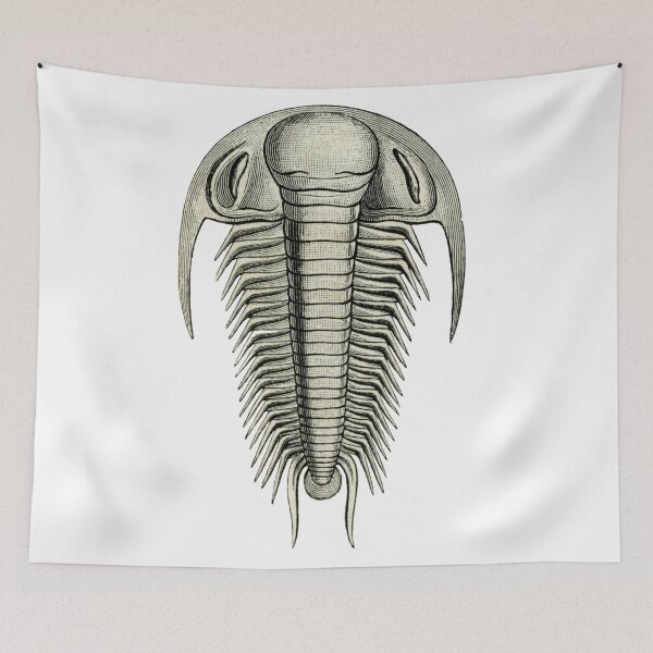 Item preview, A Trilobite A Day Keeps The Fossils Away designed and sold by taspaul.