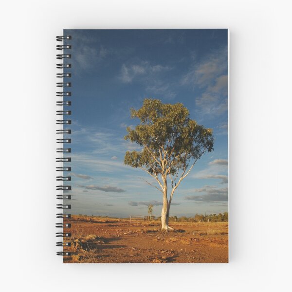 Item preview, Lone Gum Tree in the Central Australian Outback designed and sold by Sean  Carroll.
