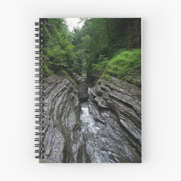 Artikelvorschau, Watkins Glen View entworfen und verkauft von AlGrover.
