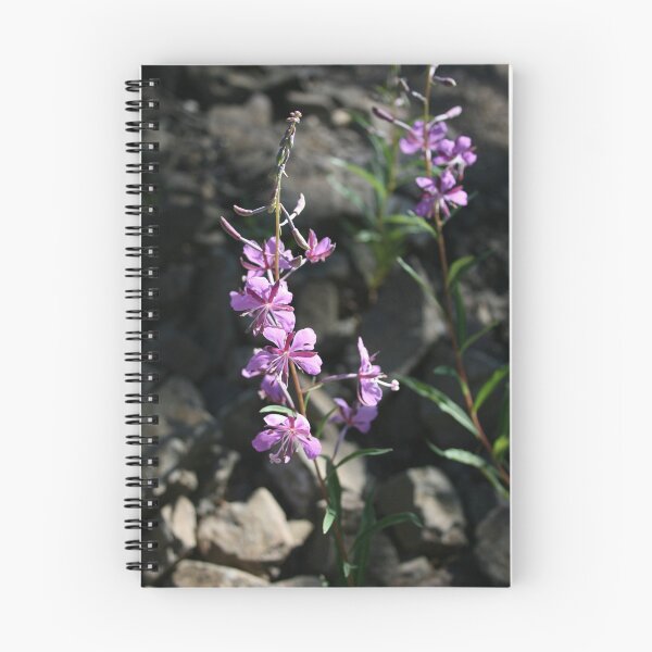 Artikelvorschau, Purple Fireweed @ Diamond Lake entworfen und verkauft von CatrinaM.