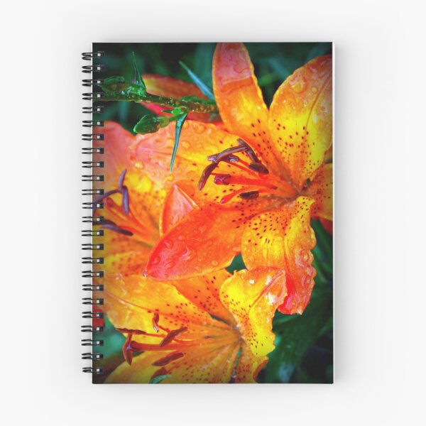 Item preview, Wilds Bloom designed and sold by Amber k..