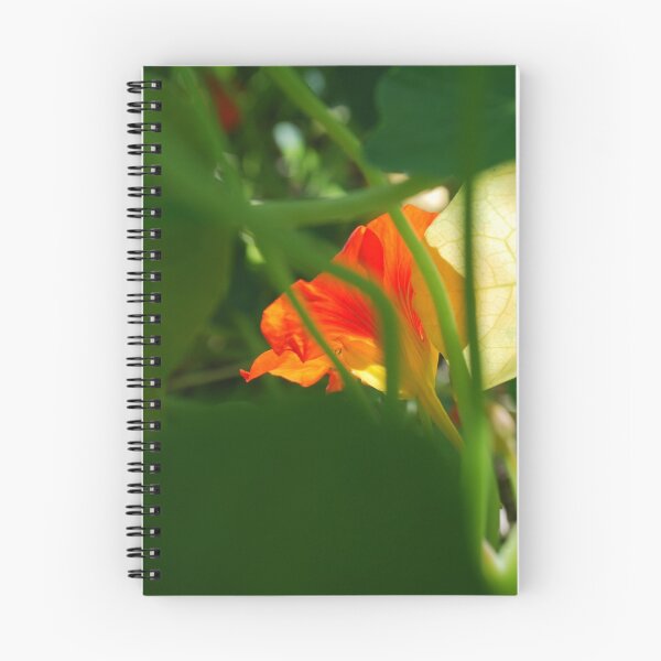 Artikelvorschau, Sunlit Nasturtium entworfen und verkauft von Lozzar Flowers & Art.