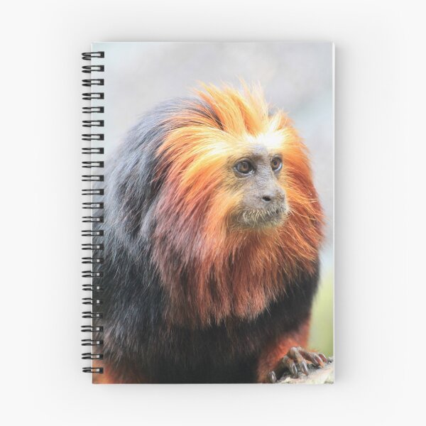 Item preview, Golden Lion Tamarin (Leontopithecus chrysomelas) designed and sold by DutchLumix.