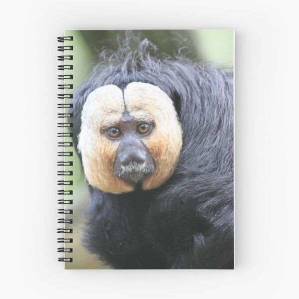 Item preview, White-faced Saki (Male) designed and sold by DutchLumix.