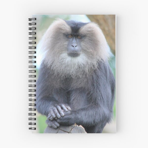 Item preview, Lion-tailed Macaque designed and sold by DutchLumix.