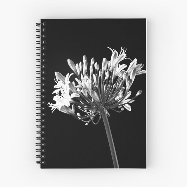 Item preview, Agapanthus Unveiled designed and sold by Marcus Buckley.