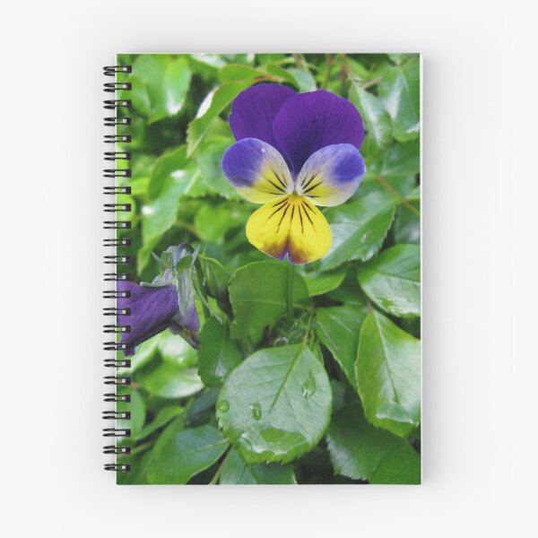 Artikelvorschau, A Violet for You entworfen und verkauft von loribee2.