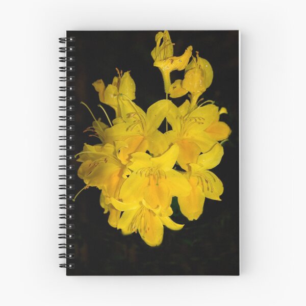Artikelvorschau, Yellow Flower entworfen und verkauft von pskuce.