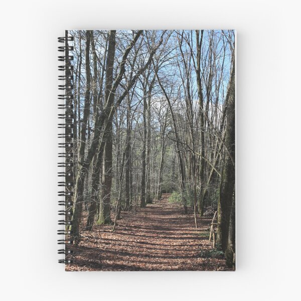Item preview, Walking Track at Emerald Lake designed and sold by Aleksander.