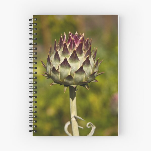 Item preview, Artichoke designed and sold by dawnrosie.