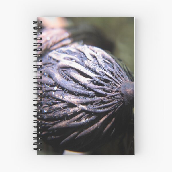 Item preview, Root Wrap designed and sold by Deborah  Janke.