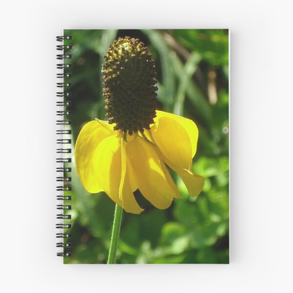 Item preview, Coneflower designed and sold by Navigator.