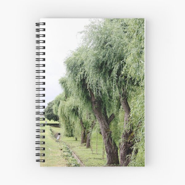 Item preview, Weeping Willows of Le Verdon designed and sold by Sea West Studio.