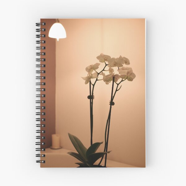 Item preview, bath time - orchids by the bath designed and sold by Dawn Dexter.