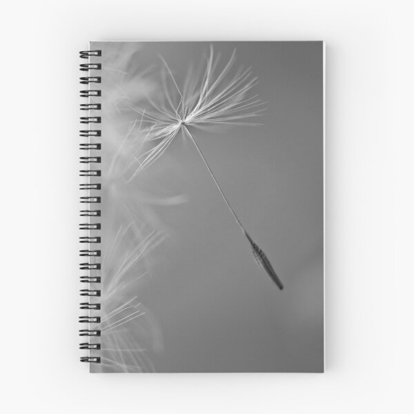 Item preview, Ephemeral designed and sold by Samuel Gundry.
