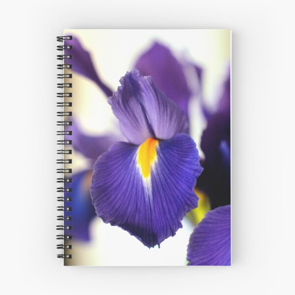Item preview, Jodies Iris designed and sold by Jon Gellweiler.