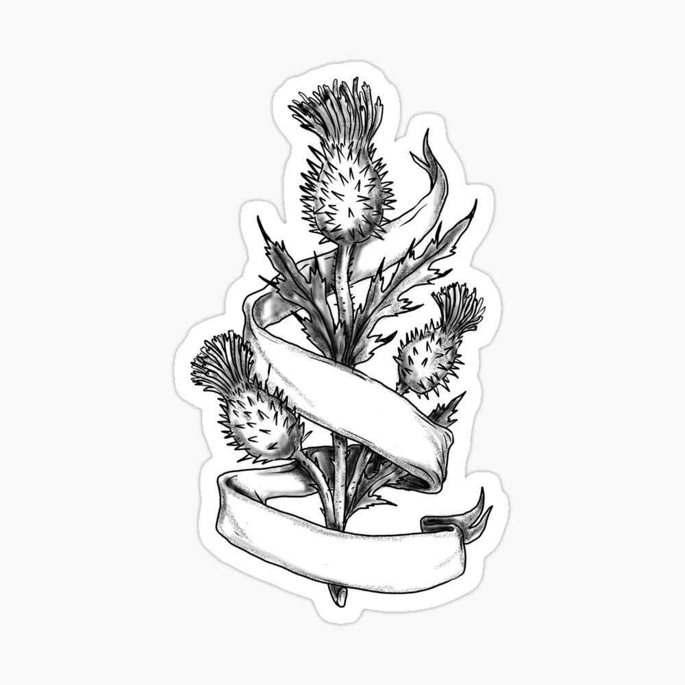This Is A Tattoo Design For My Aunt Who Asked For A - Scottish Thistle  Tattoo Design - 301x700 PNG Download - PNGkit