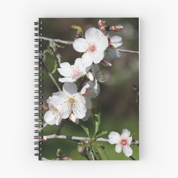 Item preview, Almond tree blossoms designed and sold by Etwin.