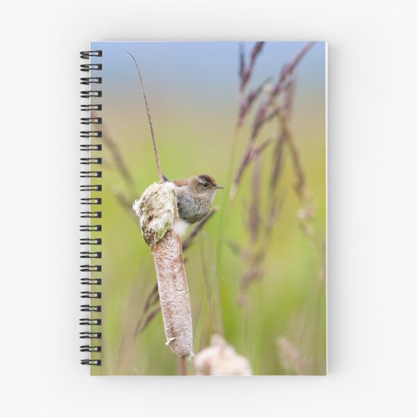 Item preview, Marsh Wren designed and sold by Randall Ingalls.