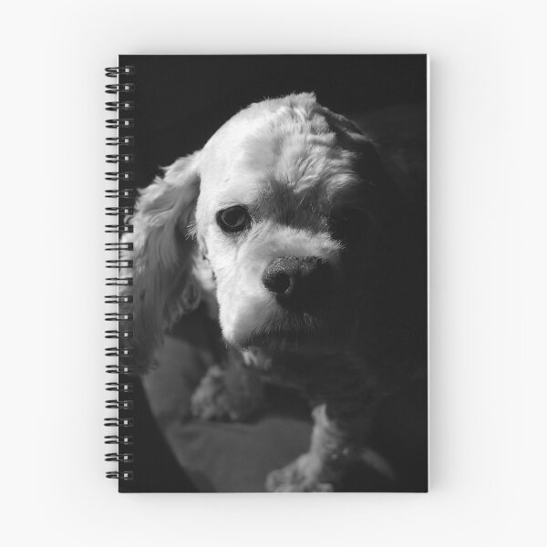 Aperçu de l'œuvre Apologie du chiot créée et vendue par AnnaRose.