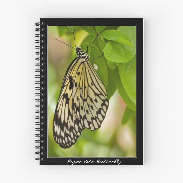 Item preview, Paper Kite-Ricepaper Butterfly (Idea leuconoe) designed and sold by Phil-Edwards.