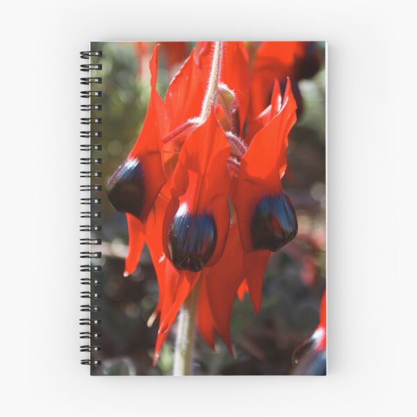 Item preview, Stunning Sturt Desert Peas designed and sold by wilderness.