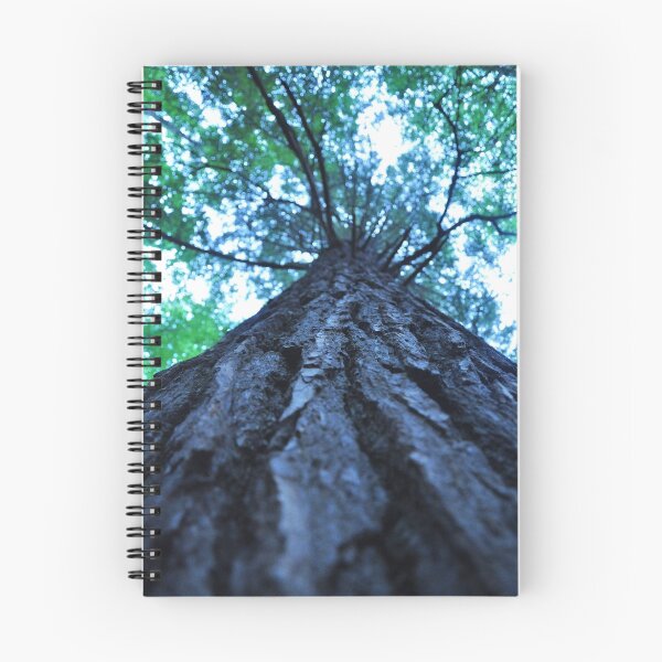 Item preview, Lilley Cornett Woods designed and sold by Ann Eldridge.