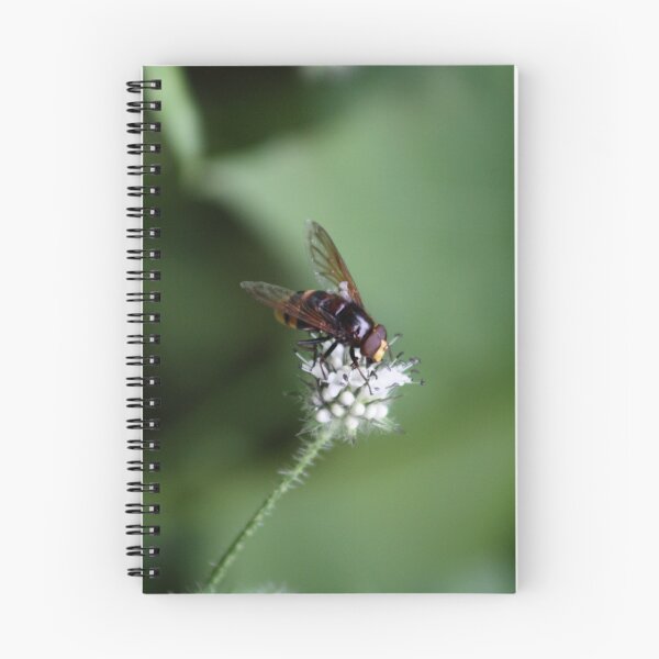 Item preview, Buzz Buzz designed and sold by Phillip Webb.