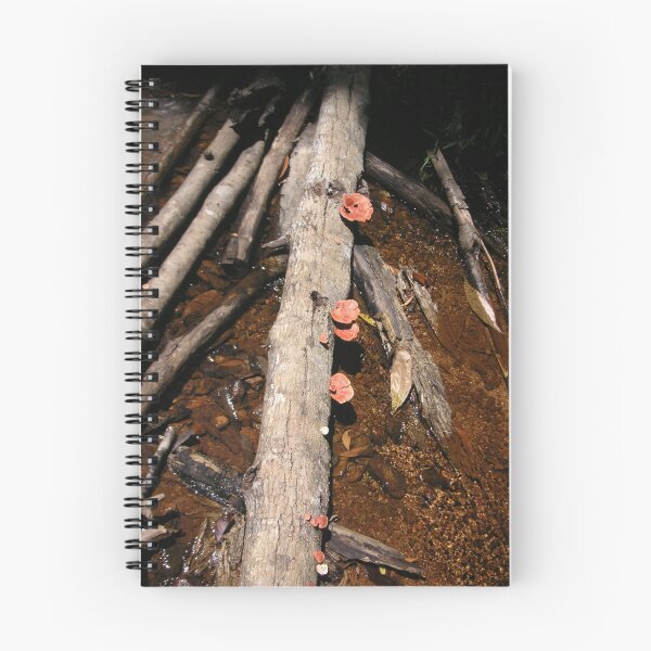 Item preview, Forest Stream designed and sold by SYin.