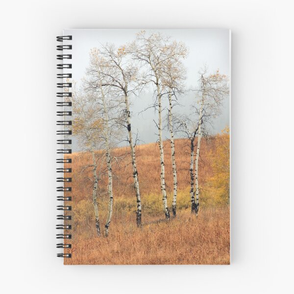 Item preview, Late Autumn Aspens designed and sold by David Kocherhans.