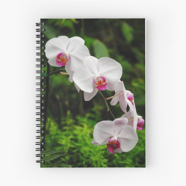 Item preview, Orchids designed and sold by hawkie.