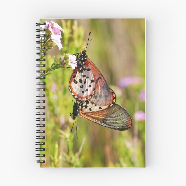 Item preview, Garden Acraea designed and sold by Macky.