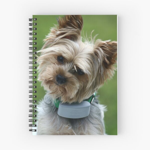 Item preview, Grammies, what did you say? designed and sold by Alexandra Wise-Brogna.