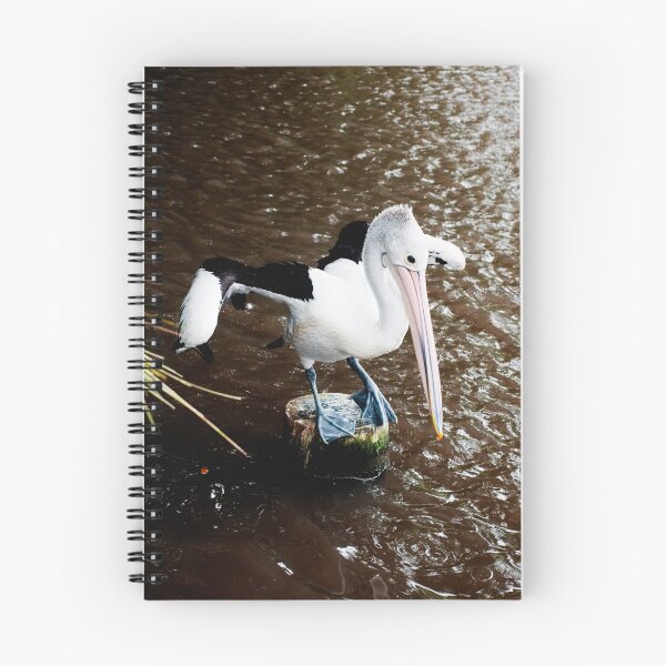 Item preview, The Dancer - pelican on a perch designed and sold by Jenny Dean.