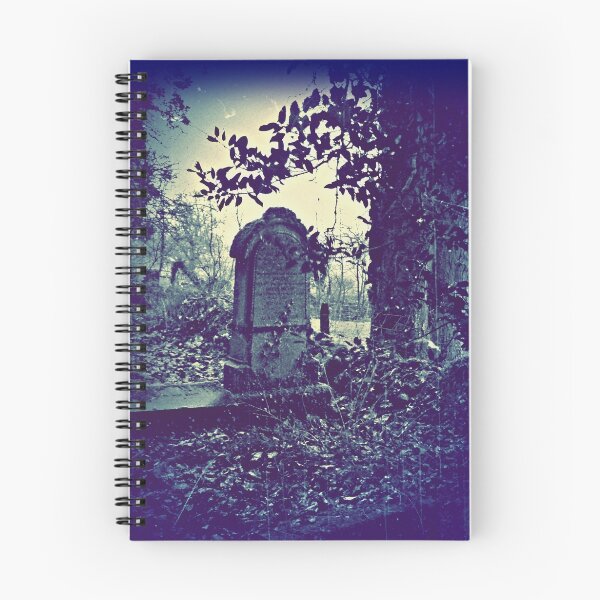 Item preview, Cemetery Secrets designed and sold by Aj Finan.