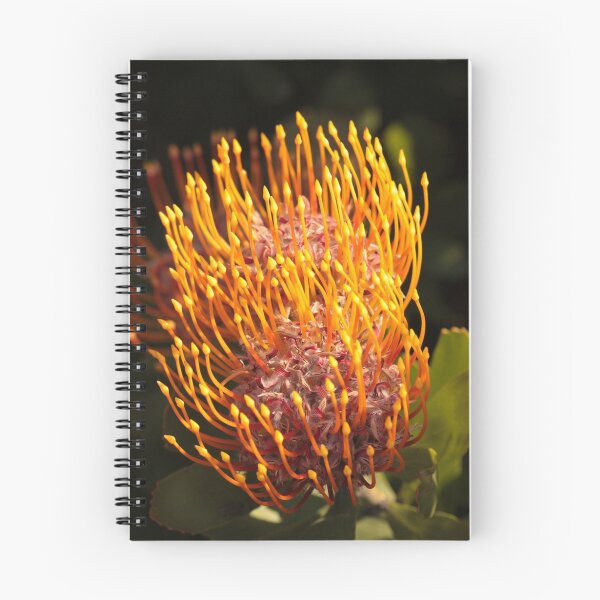 Item preview, Leucospermum cuneiforme designed and sold by Etwin.